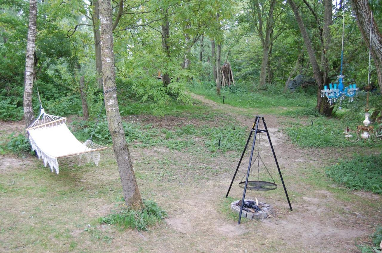 Pipowagen/Paardentram Villa Dreumel Exteriör bild