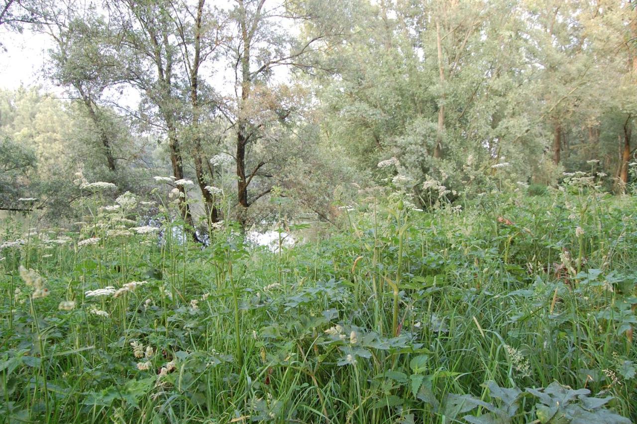Pipowagen/Paardentram Villa Dreumel Exteriör bild