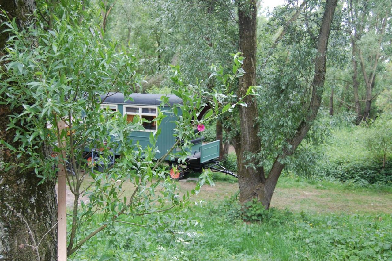 Pipowagen/Paardentram Villa Dreumel Exteriör bild
