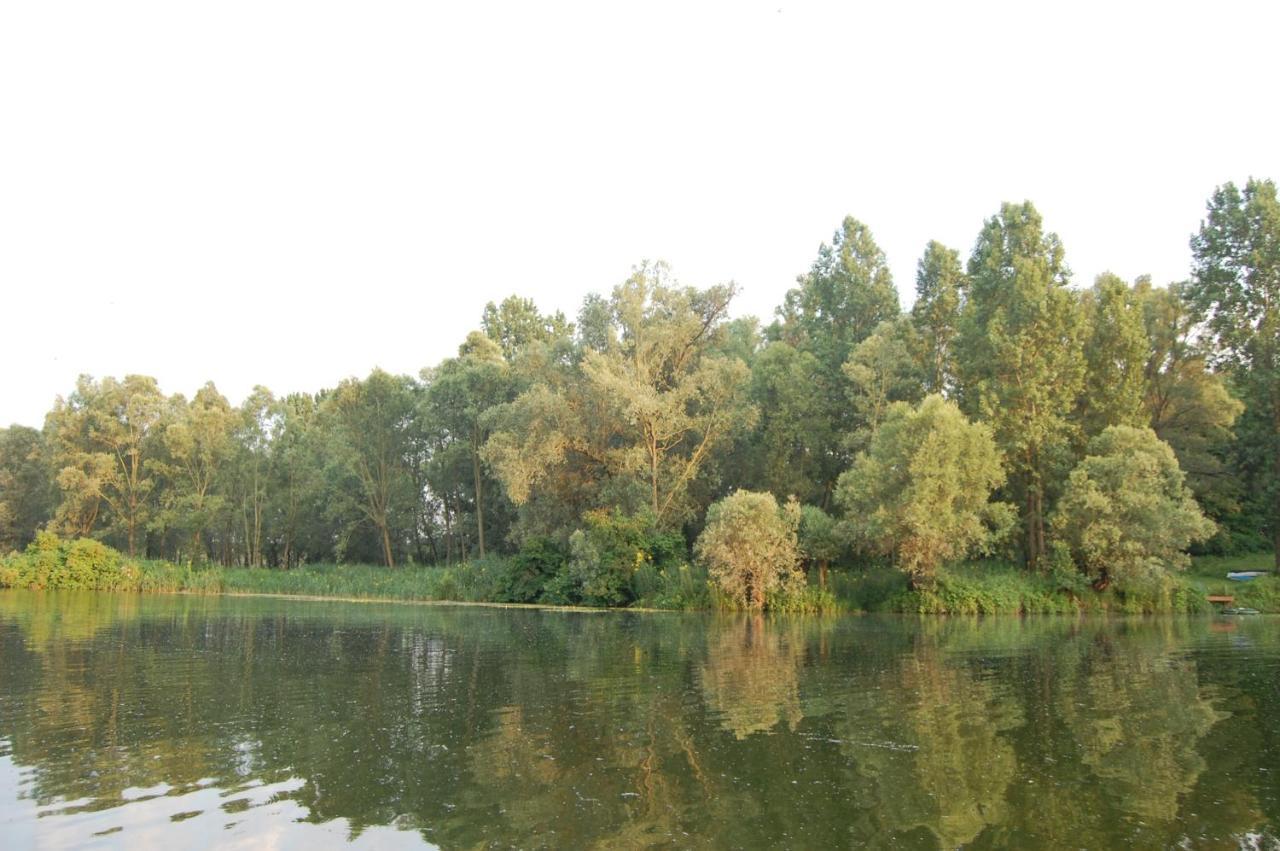 Pipowagen/Paardentram Villa Dreumel Exteriör bild