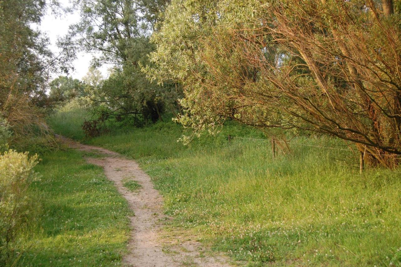 Pipowagen/Paardentram Villa Dreumel Exteriör bild